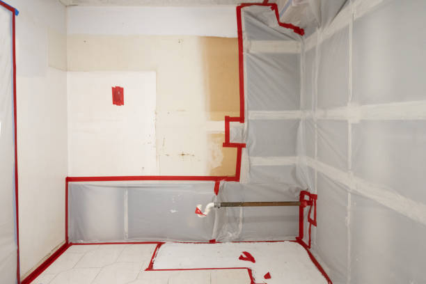 Mold Odor Removal Services in Eunice, NM