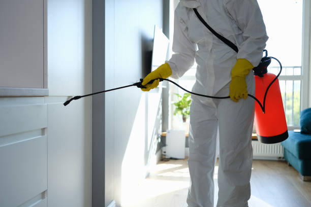 Best Crawl Space Mold Remediation  in Eunice, NM