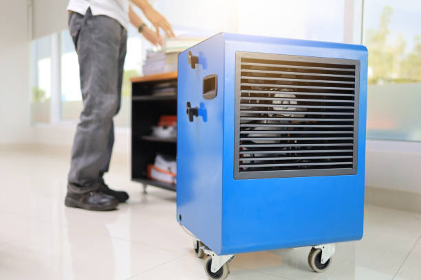 Best Forensic Mold Investigation  in Eunice, NM