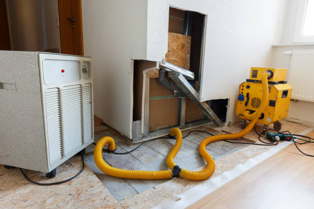 Best Mold Remediation for Rental Properties  in Eunice, NM